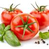 organic tomato