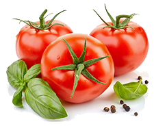 organic tomato