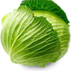organic cabbage