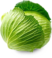 organic cabbage