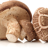 organic mushroom