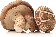 organic mushroom