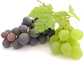 organic grapes